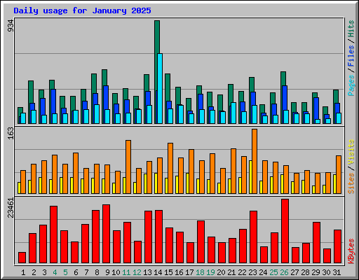 Daily usage for January 2025