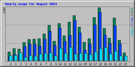Hourly usage for August 2024