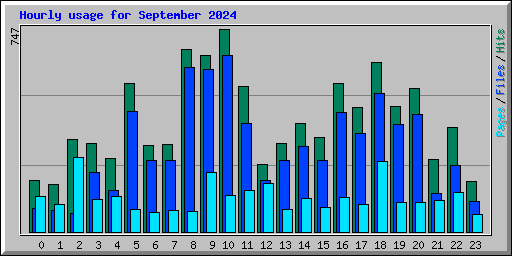 Hourly usage for September 2024