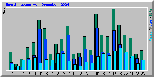 Hourly usage for December 2024