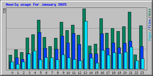 Hourly usage for January 2025