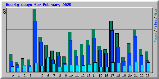 Hourly usage for February 2025