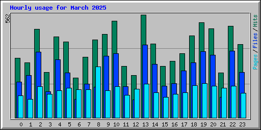 Hourly usage for March 2025