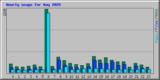 Hourly usage for May 2025
