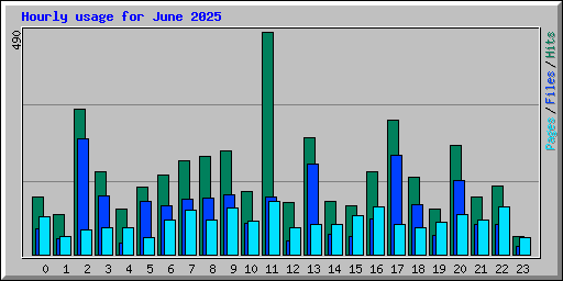 Hourly usage for June 2025